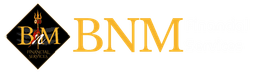 BNM Financial Services logo