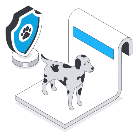 Pet Insurance